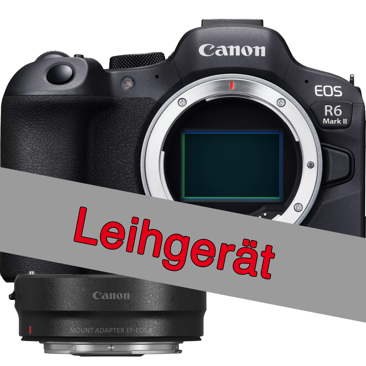 Leihgerät - Canon EOS R6 II + EF Adapter